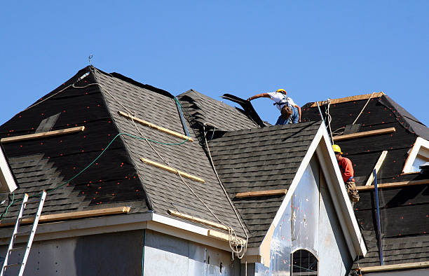 Best Roof Gutter Cleaning  in Middletown, VA